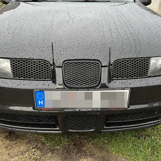 Seat Leon 1M Honeycomb lower grilles